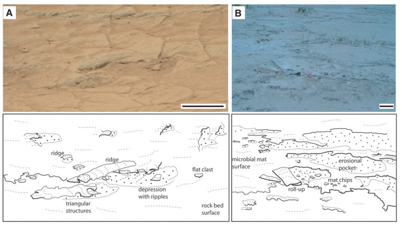 Illustration for article titled This Curiosity Image Suggests Microbial Life Once Existed On Mars